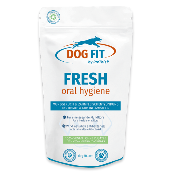 dog fit by prethis freshBpp0nbfS45fUb