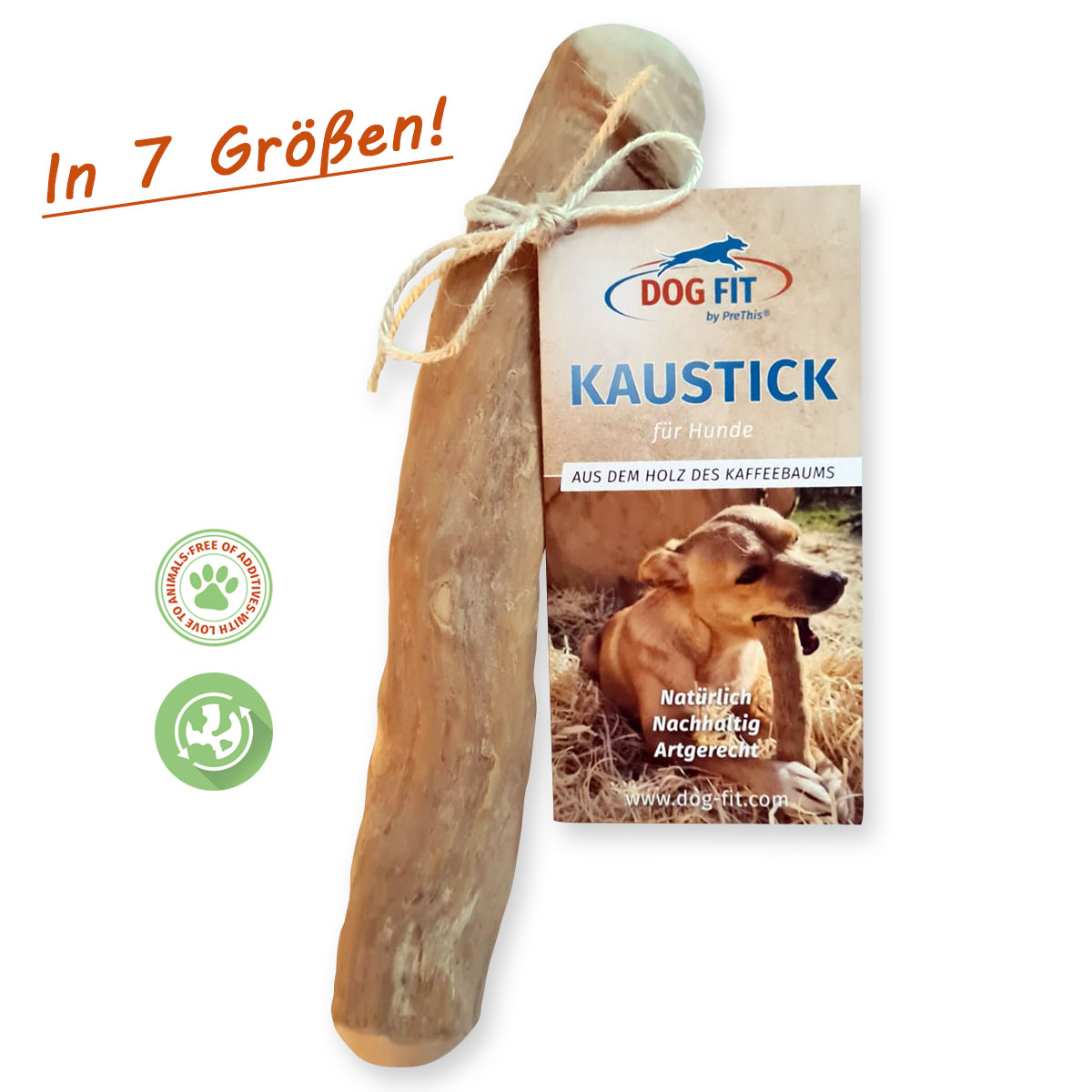 dog fit kauholz kaffeebaum